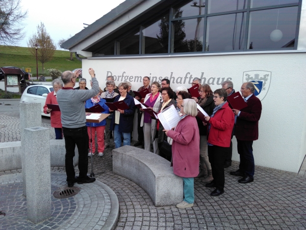 Bild Die Chorgemeinschaft Haid singt unter dem Dirigat von Ansgar Kleiner (Foto: Michael Kberle)