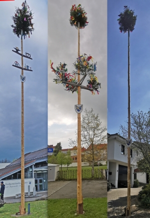 Maibume (v.l.) in den Ortsteilen Bogenweiler, Sieen, Haid, Fotos und Collage durch Gerold Mnch