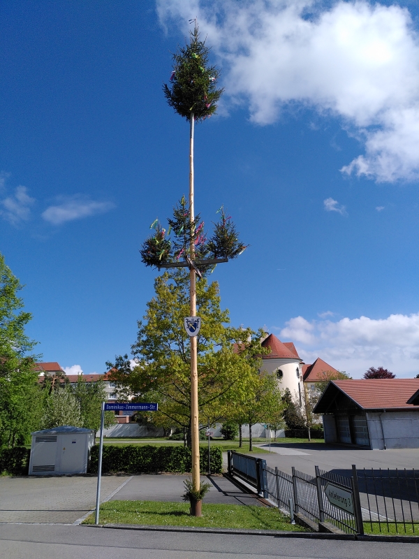 Maibaum in Sieen am Dorfplatz (Foto: Michael Kberle)