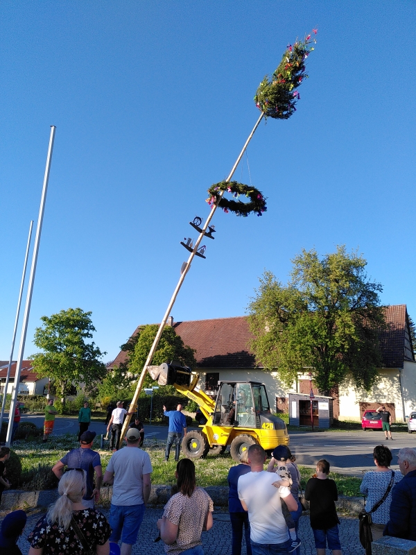 Aufstellen des Maibaums (Foto: Michael K�berle)